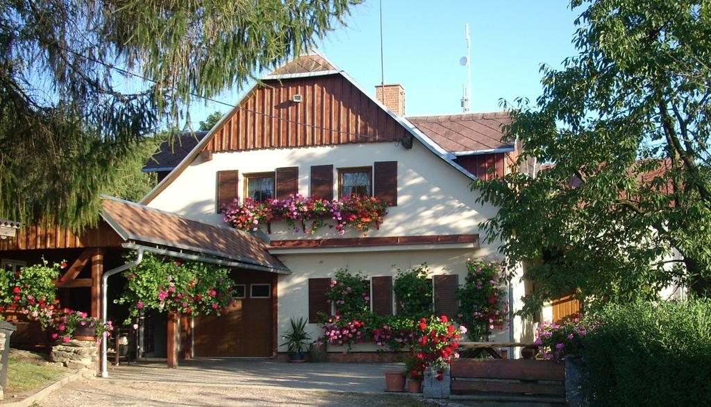 Pension Ivanka Jestrabi V Krkonosich Εξωτερικό φωτογραφία